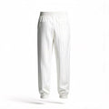 Off-white striped jogger sweatpants